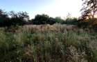 CASA DE VANZARE | 1.483 MP TEREN | ARICE?TII RAHTIVANI | 55.000 euro - 9