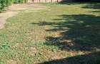 Vand Teren loc. Sandra, Timis - 2