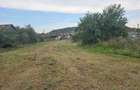 Vand casa loc SUMUGIU, sc 200 mp , parte casa noua la rosu , teren 2670 mp, la sosea, front mare