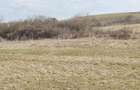 teren intravilan 8632 m2 - 6