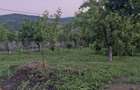 Teren Tomesti-Chicerea Urgent - 5