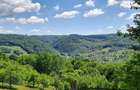 Teren 4000mp Maramures - 1