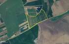 48 ha teren arabil la soseaua Arad -Siria - 1