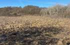Teren intravilan parcelabil Valea Garbaului Floresti - 2