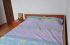 Apartament 3 camere, confort 1, decomandat, mobilat, zona sud - 10