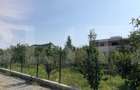 Teren intravilan 974 mp, zona dezvoltata de case, Dambu Rotund !
