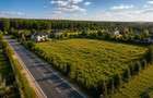 Teren Dezvoltare Case Domnesti - Lot pentru 4 Unitati - Zona in Expansiune - utilitati existente - 1