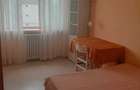 Chirie apartament 2 camere Alexandru cel Bun - 4