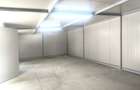 Jilava-Giurgiului-Spatii depozitare/comerciale/hala/birou-60mp-500EUR - 8