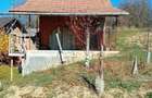 vand cabana cu beci in loc. Zauan
