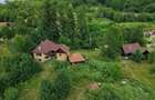 Casa Naturala in Transilvania - 1