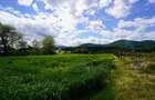 Teren 9000 mp intravilan Piatra Neamt , ideal investitie - 8