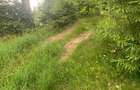 Vanzare teren intravilan 9200 mp - 2