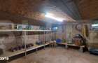 Casa individuala de vanzare, 124 mp, teren 3.860 mp, zona Chichis