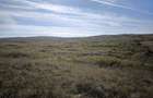 Teren agricol 25.400 m.p. Craciunelu de Jos | Blaj | un singur lot - 2