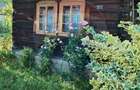 Casa traditionala si teren in s.f de 679 mp, Vadu Izei - 12