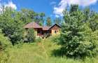 Casa Naturala in Transilvania - 10