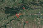 Aproximativ4 ha teren | Casa batraneasca | Beiusele - Bihor - 6