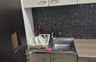 Garsoniera pet friendly cartier Brazda lui Novac - 13