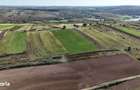 Teren intravilan 2500mp intre Paleu si Uileacu de Munte proprietar