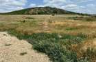 Teren de vanzare zona Betfia - 1