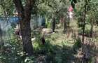 Livada 1100 mp in intravilan, de vanzare Comuna Bote?ti, Jude?ul Arge? - 1