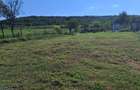 Oferta. Proprietar vand teren intravilan - 3
