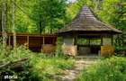 Cabana: afacere si vacanta in acelasi loc | Camenca, Brusturoasa - 4