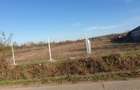 Teren intravilan intabulat LIPANESTI 8071 mp (dist 12 km fata de Ploiesti) - 3