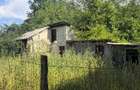 Casă cu Teren 5000 Mp în Odăeni - 6