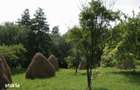 Teren 5844 mp Valea Danului Curtea de Arges intravilan extravilan - 5