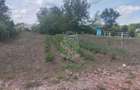 Teren 701 mp-ideal investitie, cabana, gradina-Slatinita - 3