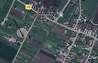 Vand teren intravilan , localitatea Chintelnic - 4