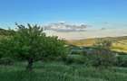Vand teren intravilan cu utilitati in sat Radaia comuna Baciu - 4