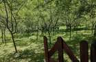 Casa, zona rustica, langa Deva, loc. Cherghes, pentru activitati si relaxare in natura - 9