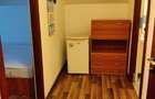 Apartament 1 camera CENTRUCOPOU -350 EURO - 6