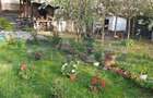 VANZARE VILA | P+1+M | ZONA NICOLAE GRIGORESCU - 4