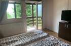 Cabana la munte, Colibita, jacuzzi, foisor - 14