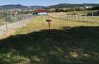 Teren de vanzare 12 ari, strada Valea Ghinzii, Bistrita - 1