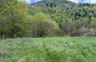 Teren Premium De Vânzare – langă Colina Marei | Sinaia – PRIVELIȘTE, UTILITĂȚI,  - 3