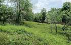 Teren intravilan, 1.584 mp, Com Talea, Jud Prahova - 2