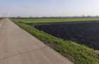 Teren extravilan, 9300mp, 55ml deschidere la drum, Satu Mare, Radauti - 2