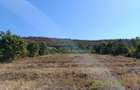 Teren extravilan (front intravilan) 3016 mp | Sebi?, jud. Arad