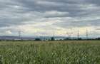 Teren Extravilan | 7.000 MP | DNCALB | Alba Iulia - 3