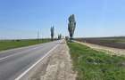 Teren agricol de vanzare 2 ha,  stradal la asfalt  pe  DN 24 TISITA - TECUCI - 3