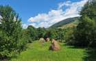Teren de 876 mp, în Valea Doftanei - 4