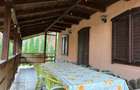 Casa de vacanta in inima naturii Valea Bratcutei, jud. Bihor - 3