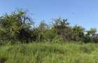 INVESTITIE! Teren extravilan - 1050 mp - zona Wonderland , Cluj! - 4