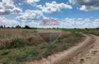 Oportunitate investitie - Potential dezvoltare -Teren 9843 mp Crevedia - 2