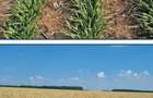 Agriculture farm 838 ha